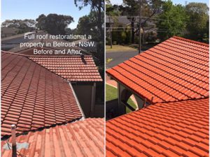 Roof Restoration Hills District